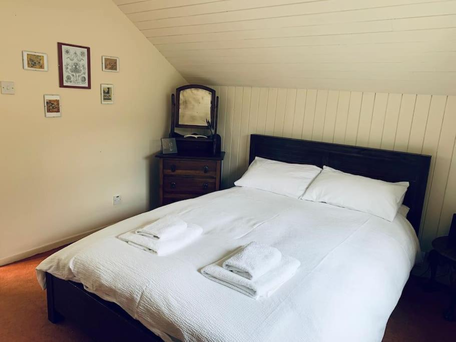 Trinity Annexe An Adorable First Floor Light And Lofty Space Within An Aonb Godmanstone Extérieur photo