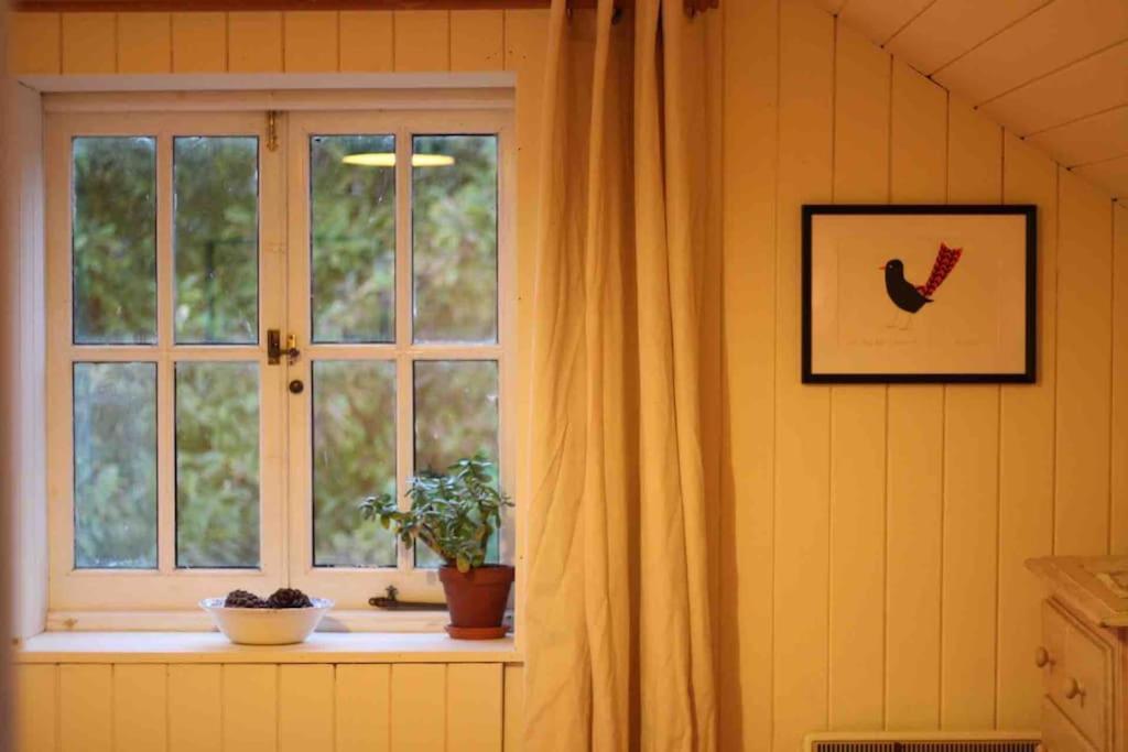 Trinity Annexe An Adorable First Floor Light And Lofty Space Within An Aonb Godmanstone Extérieur photo