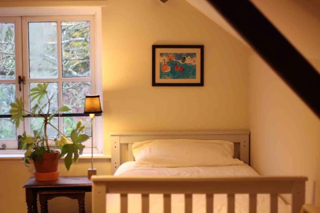 Trinity Annexe An Adorable First Floor Light And Lofty Space Within An Aonb Godmanstone Extérieur photo